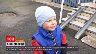 Новини України: життю дворічного хлопчика, який напередодні загубився у лісі, ніщо не загрожує