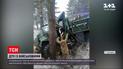 В ДТП на Яворовском полигоне пострадали 8 военных