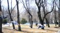 Україну порадує сонце й тепло навіть до 22 градусів. Прогноз погоди на середу