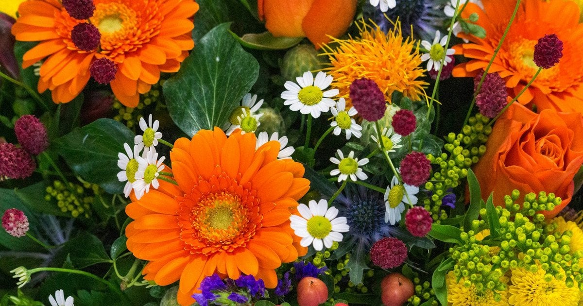 Тест: оберіть улюблену квітку, щоб дізнатися про свою унікальну рису характеру