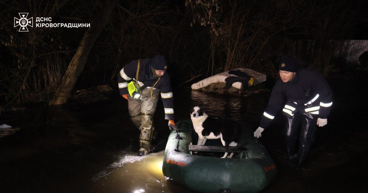 Потоп у притулку