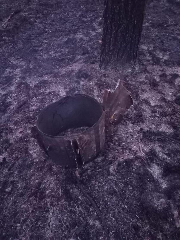 В результате атаки дронами по Киевщине 8 мая загорелся травяной настил / © Андрей Небитов