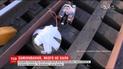 На Харківщині міна на коліях зупинила рух поїздів на чотири години