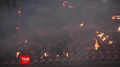 Поблизу Афін спалахнула масштабна лісова пожежа