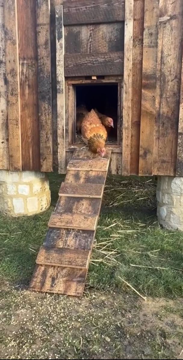 Дэвид Бекхэм / © instagram.com/victoriabeckham