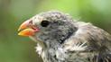 © Dr Katharina Peters, Flinders University