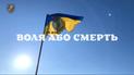 "Воля або смерть" документальний фільм | ТСН