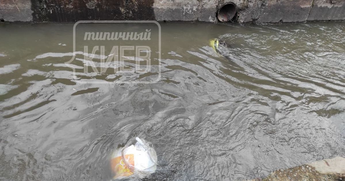 У Києві оприлюднено фото Либіді, що перебуває у жахливому стані