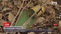 Новости с фронта: оккупанты снова обстреливали украинские позиции в зоне ООС