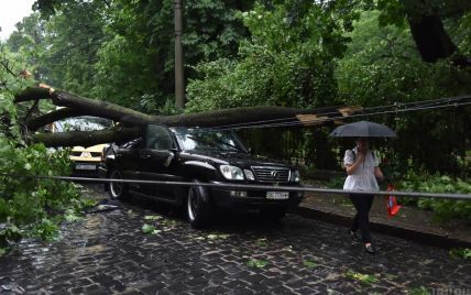 Непогода во Львове: считают убытки и обещают отремонтировать за счет города
