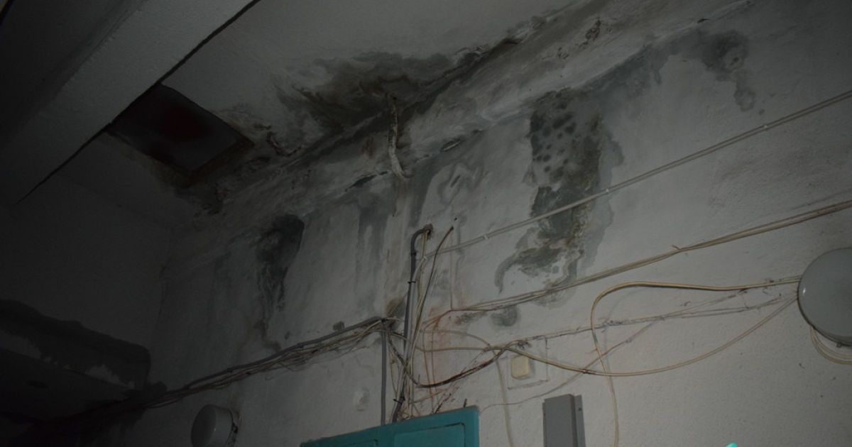 Окріп у луцькій квартирі_3 / © pershyj.com