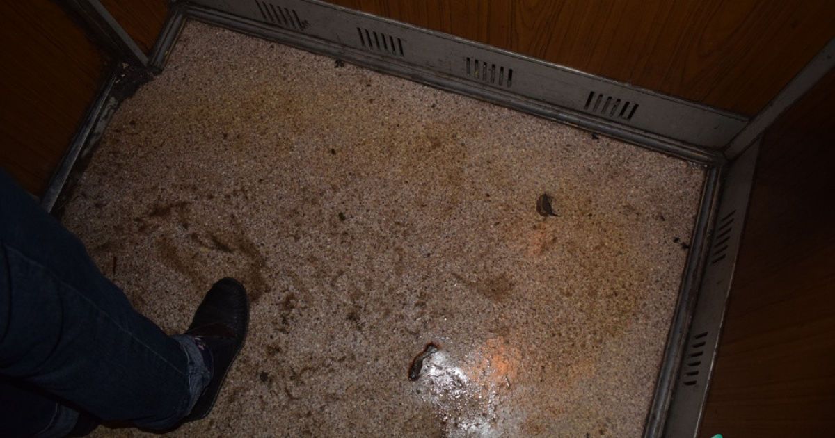 Окріп у луцькій квартирі_11 / © pershyj.com