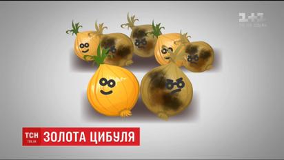 Вартість цибулі в Україні побила історичний рекорд