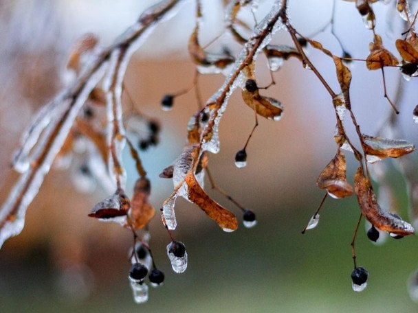 Народные приметы 14 февраля / © pexels.com