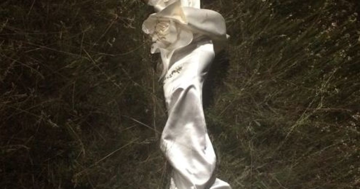 Матвиенко и Lama записали дуэтную композицию