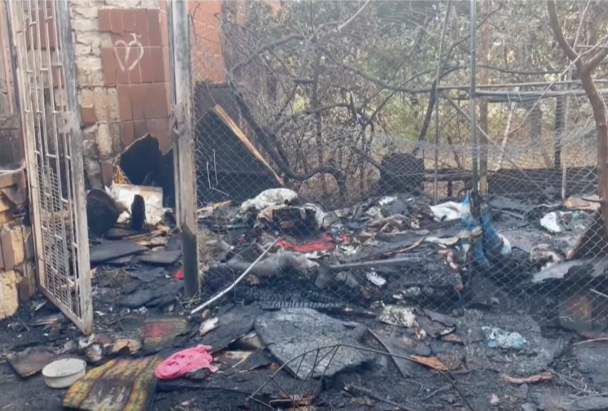 Последствия пожара в "Котохате" на столичных Теремках/Фото: скриншот