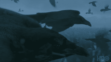 Кадри із нового трейлеру "Гри престолів"_31 / © HBO