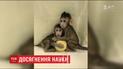 Китайские ученые первыми клонировали обезьян