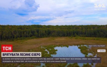 Описанное Лесей Украинкой озеро в "Лесной песне" превращается в болото: что произошло