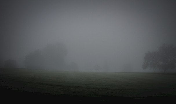 21 мая туман утром — к хорошей погоде и теплому лету / © unsplash.com