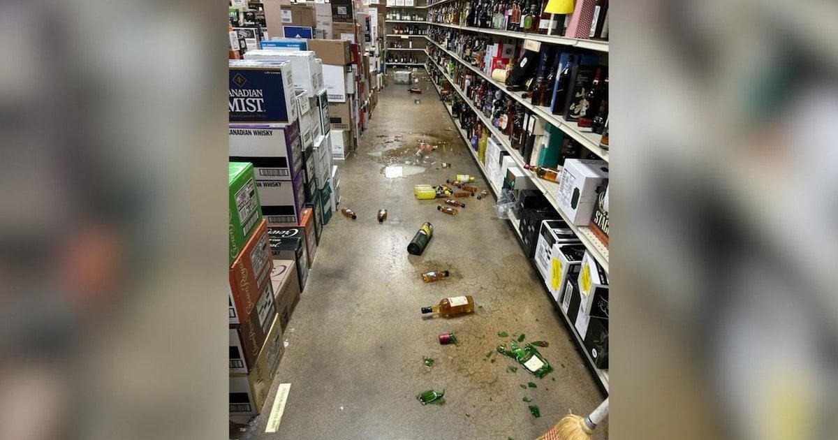 Єнот розгромив магазин. Фото: Захист тварин округу Гановер