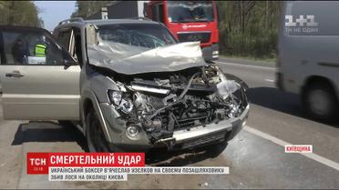 Боксер Узєлков збив лося на околиці Києва