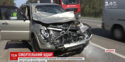 Боксер Узєлков збив лося на околиці Києва