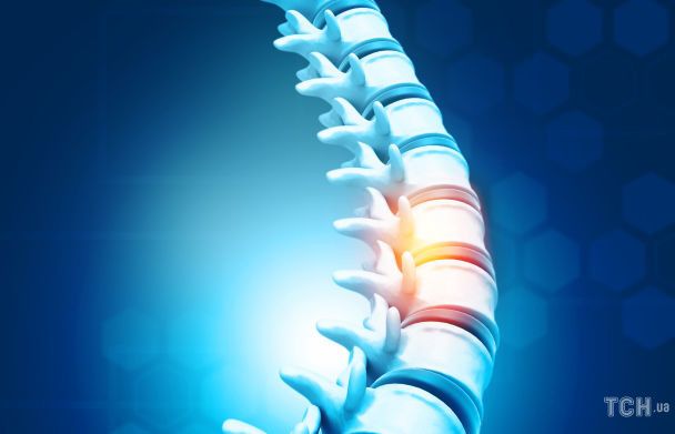 6 одобреных доктором способов облегчить боль в спине / © Credits