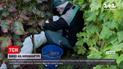 Новини світу: на Монмартрі стартував збір винограду