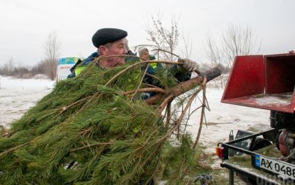 Украинцы продолжают выносить из дома праздничные деревья: где в Киеве можно сдать елку на переработку