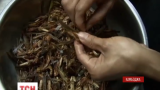 У Камбоджі французький ресторан готує комах на західний манер