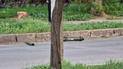 Explosions were heard next to the so called Transnistria Ministry of the state Security in Tiraspol: photo, video