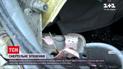 Новини України: на об`їзній дорозі Львова сталася ДТП, загинула дворічна дівчинка