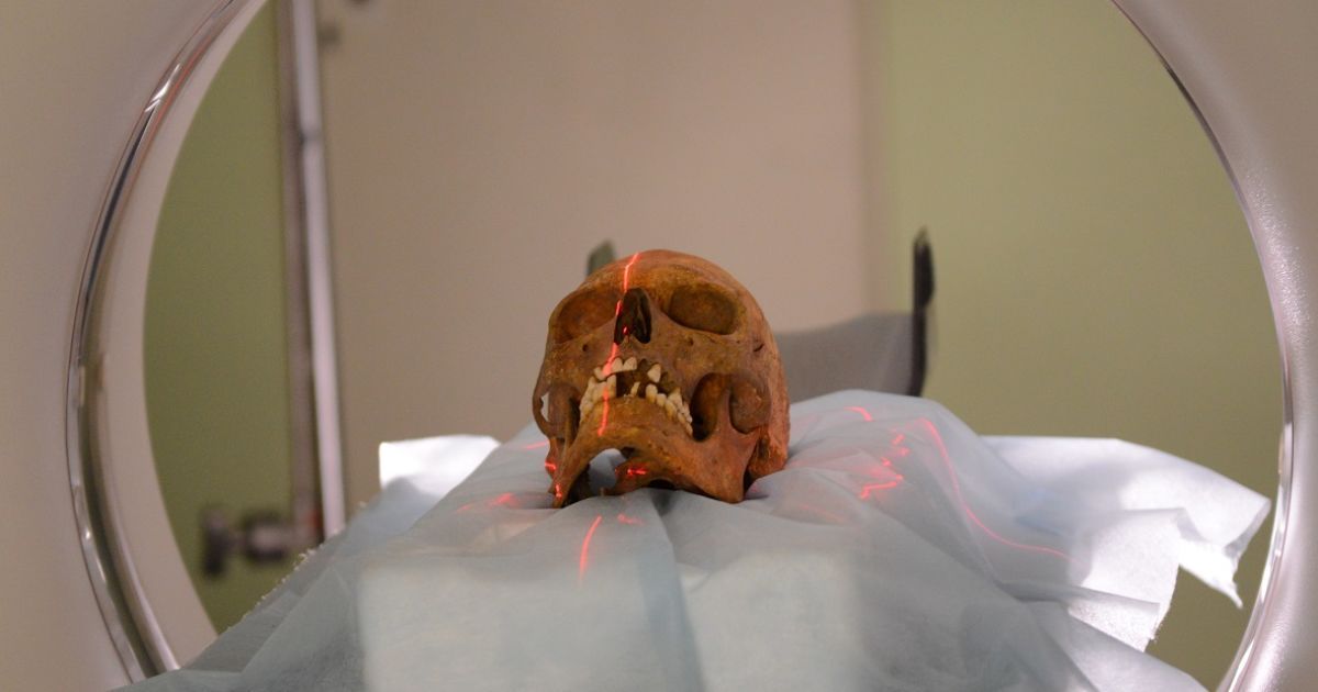 Україна. Повернення своєї історії_10