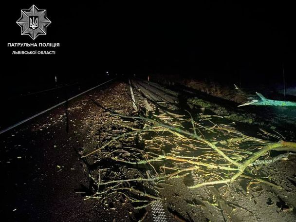  / © www.facebook.com/Патрульна поліція Львівської області