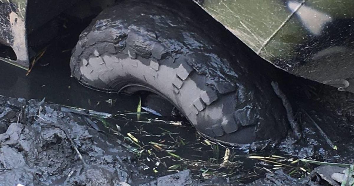 навчання поліцейського спецназу на донеччині_6 / © facebook.com/Вячеслав Аброськин