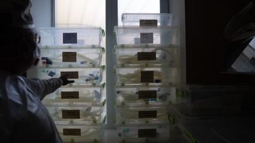 лікарня, вакцинація, реанімація, коронавірус_12 / © UNICEF/2021/Ukraine/Maloletka