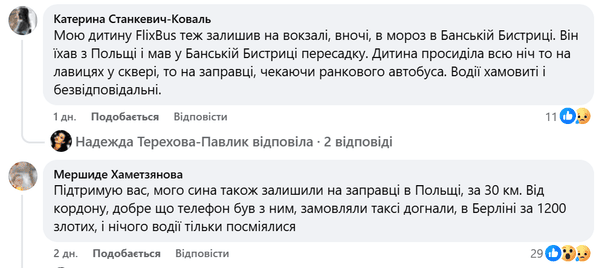 Скриншот з Фейсбук-сторінки Надії Терехової-Павлик