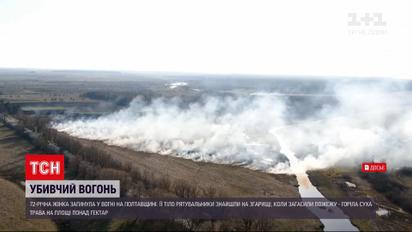 Новости Украины: в Полтавской области из-за горения сухостоев погибла 72-летняя женщина