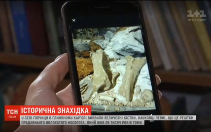 На Винниччине во время добычи глины нашли кости гигантского доисторического животного - мохнатого носорога