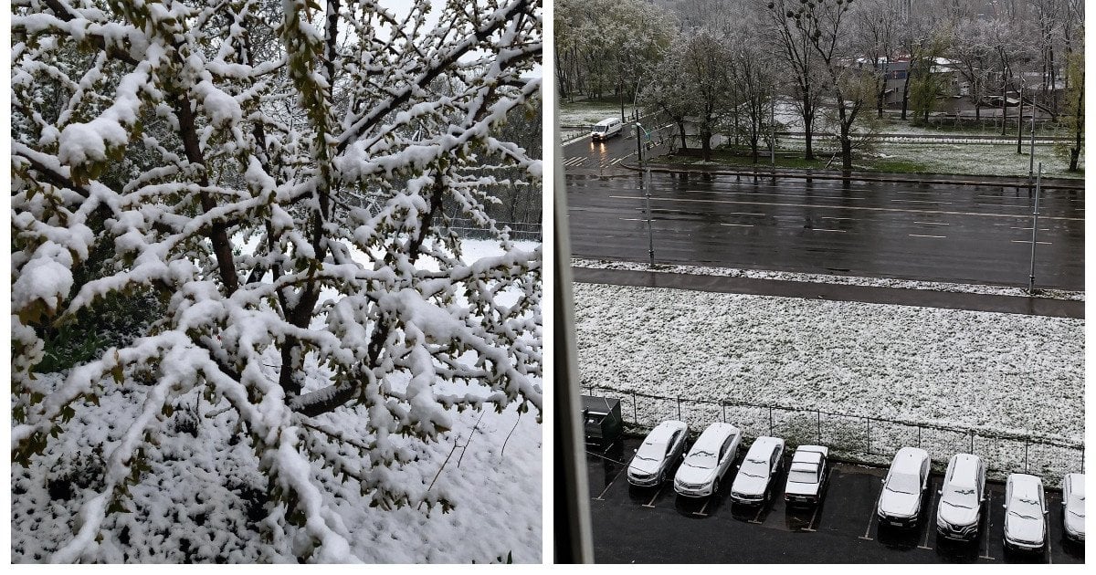 Сніг у Харкові 24 квітня