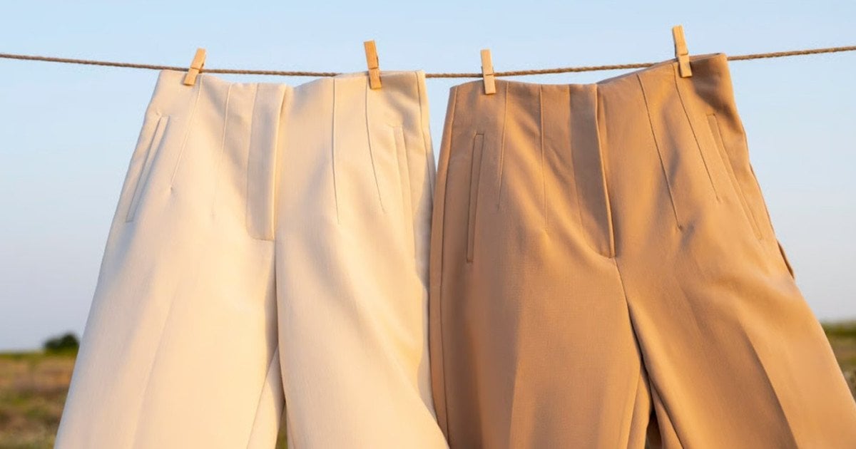 Модні жіночі штани 2026