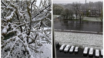 Снег в Харькове 24 апреля