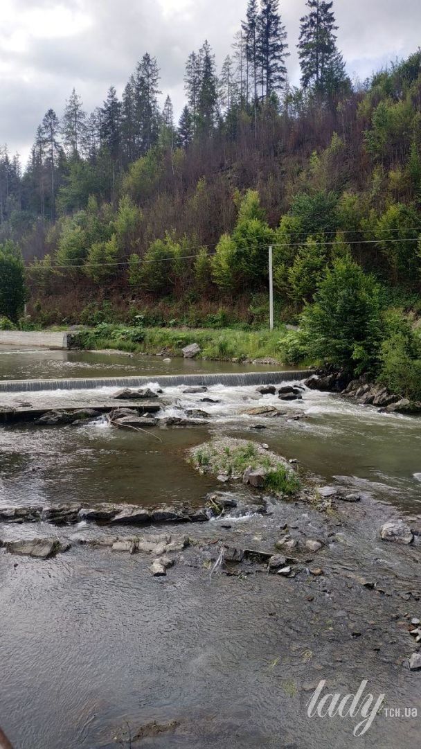 Жденієво