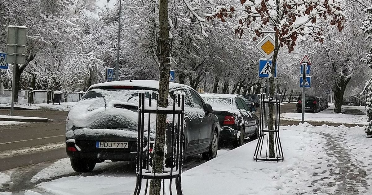 Украину заполняет автомобильный "хлам": импорт машин с пробегом вырос на 109%