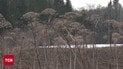 Винищувачі НАТО вперше збили дрон над Латвією. А в Молдові дрон таки проґавили