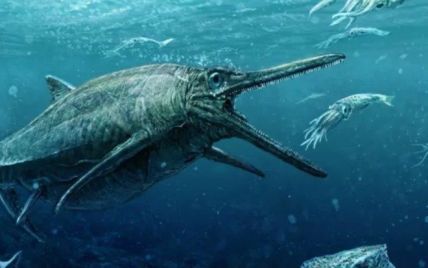 Більше ніж кит: знайдено фрагмент підводної істоти розміром у понад 30 метрів