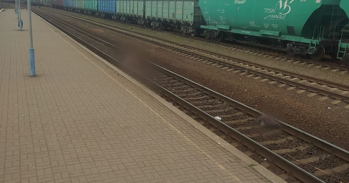 Потяг Інтерсіті "Київ-Харків" на смерть збив жінку на станції "Березань"