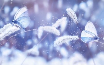 Гороскоп на 6 грудня для всіх знаків зодіаку: день боротьби між добром та злом