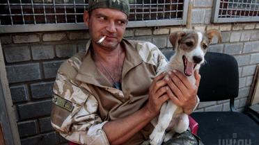 Широкине собираются сделать демилитаризованной зоной. / © УНИАН